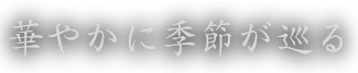 華やかに季節が巡る