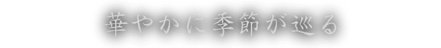 華やかに季節が巡る